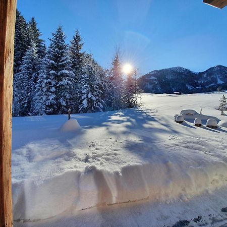 Zeitfrei Chalet Apartments Fieberbrunn Esterno foto